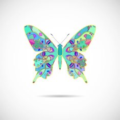 Vector illustration - butterfly