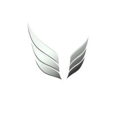 vector 3d abstract wing flying logo for company N3