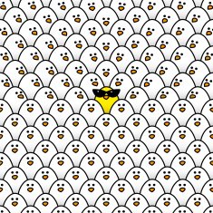 Single Yellow Chick in Ladies Sunglasses Surrounded by Staring W