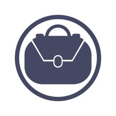 Woman bag vector icon N2