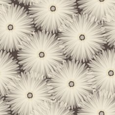 Seamless pattern Floral stylish background N4