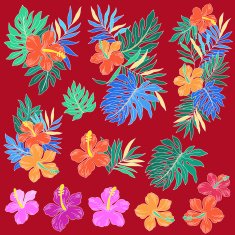 Hibiscus illustration N7