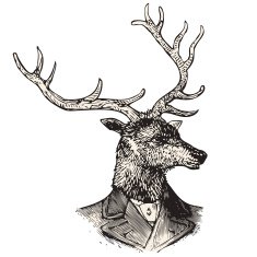 Monsieur deer