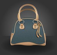 chic bag