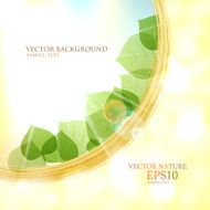 Abstract natural background with sun leaves