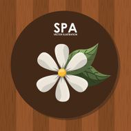 spa relax N8