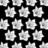 black and white flower on background NO 1