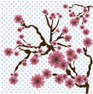 Branches Design