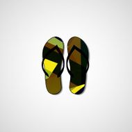 Abstract illustration on flip flops N53