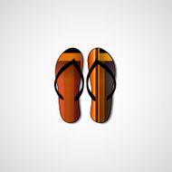 Abstract illustration on flip flops N54