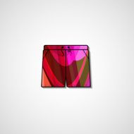 Abstract illustration on shorts N55