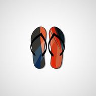 Abstract illustration on flip flops N56