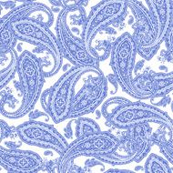 pattern paisley N80