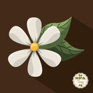 spa therapy design N3