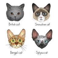 Set of hand drawn cats vector illustration