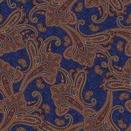 pattern paisley N81