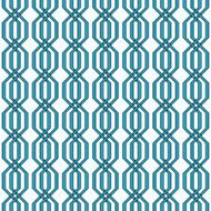 Braided pattern Seamless background of wicker lines N4