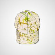 Abstract illustration on peaked cap N50