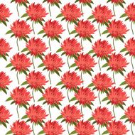 Postcard with flower Astra for your design
