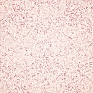 Vector seamless kaleidoscope pattern N11