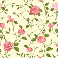 Shabby chic rose background N3