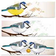 Business cards set with birds