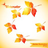 Autumn composition with yellow and red leaves N4