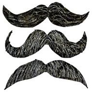 Hipster mustache set painted vector