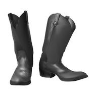 Cowboy Boots N8