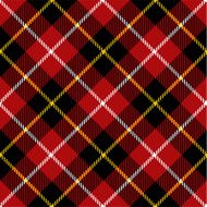Seamless tartan pattern N7