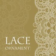 Vector lace ornament background N10