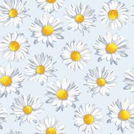 Seamless pattern with camomile flower - Illustration N2