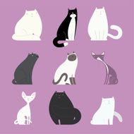 Stylish cat set with different feline bodies