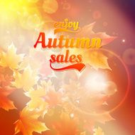 Autumn sale realistic Leaves typography poster N8