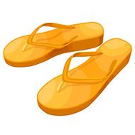 Flip Flops N27