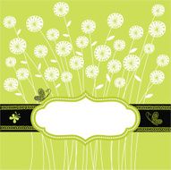 vector floral frame N7