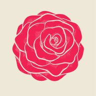 beautiful pink rose in hand-drawn graphic style vintage colors