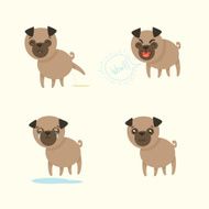 Pug N3