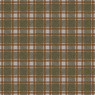 Checked seamless pattern N5