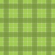 Checked seamless pattern N6