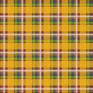Checked seamless pattern N13