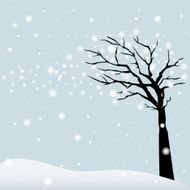 Winter Tree N11