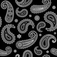 Indian paisley pattern