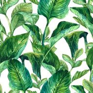 Watercolor Seamless Background with Tropical Leaves N3
