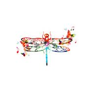 Colorful dragonfly design with butterflies