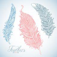 Hand drawn stylized feathers vector collection
