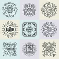 Retro Design Luxury Assorted Insignias Logotypes Template Set