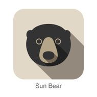 sun bear face flat icon design Animal icons series