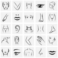 Female body parts icons