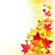 Autumn Maple Leaves Background N2